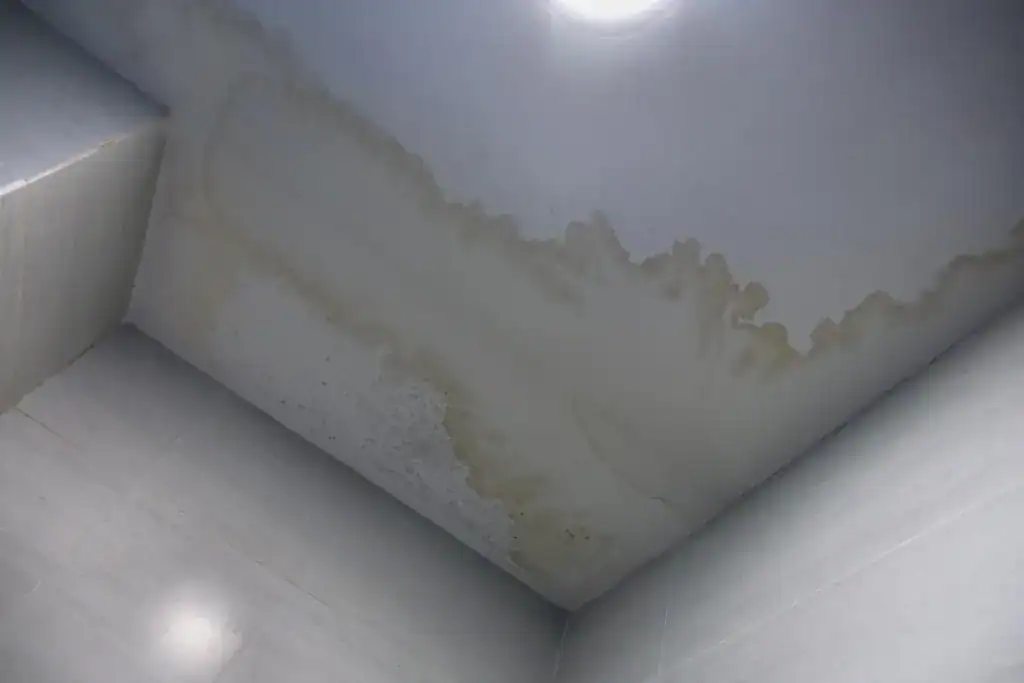 出租住宅天花板出現明顯漏水、水痕與受潮問題,應先確認漏水來源,再釐清房東、房客或其他相關人的修繕責任。